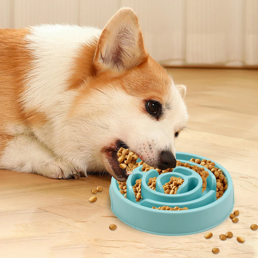Comedero Lento para Perros Antiahogo-Plato Antideslizante para Comer Despacio-Perros  Pequeños, Medianos y Grandes.