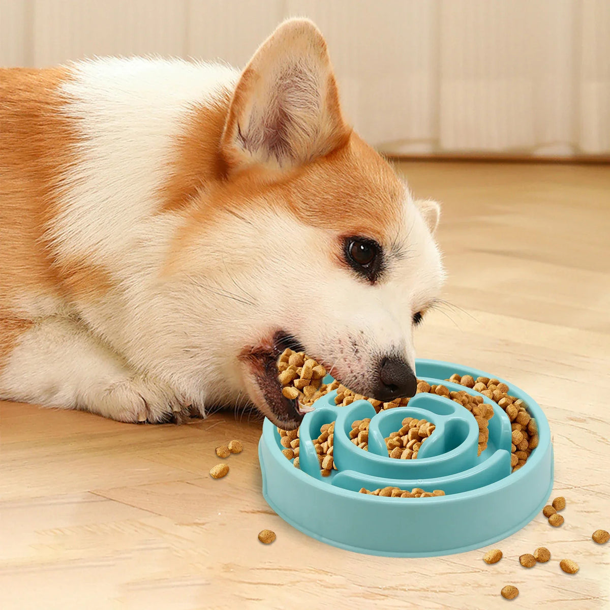 Comedero Lento para Perros Antiahogo-Plato Antideslizante para Comer Despacio-Perros  Pequeños, Medianos y Grandes.